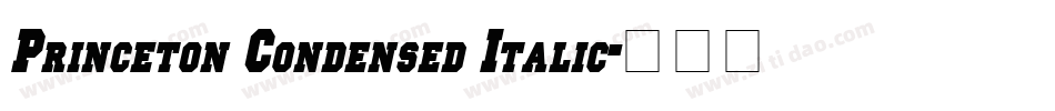 Princeton Condensed Italic字体转换